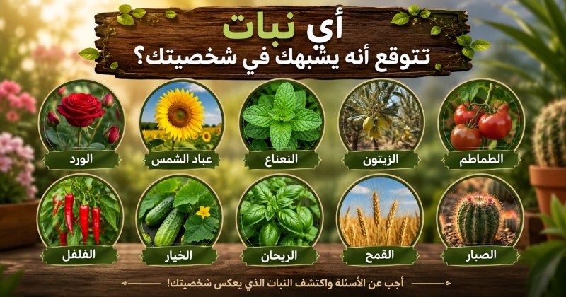 أي نبات يشبهك في شخصيتك؟