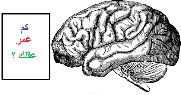 كم عمر عقلك حسب معلوماتك العامة ؟