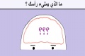 ما الذي يملىء رأسك ؟