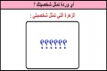 أي وردة تمثل شخصيتك ؟