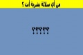 من أي سلالة بشرية أنت ؟