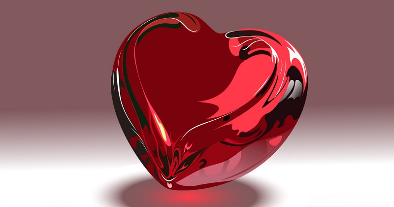 ���� ���� ������ �� ���� ������