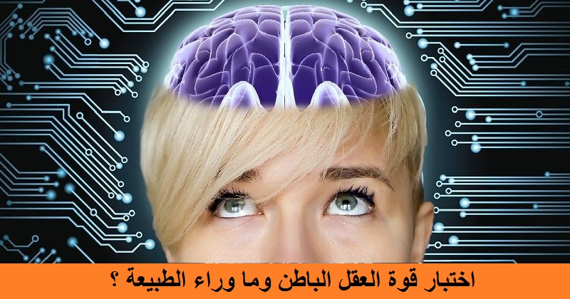 Brain am